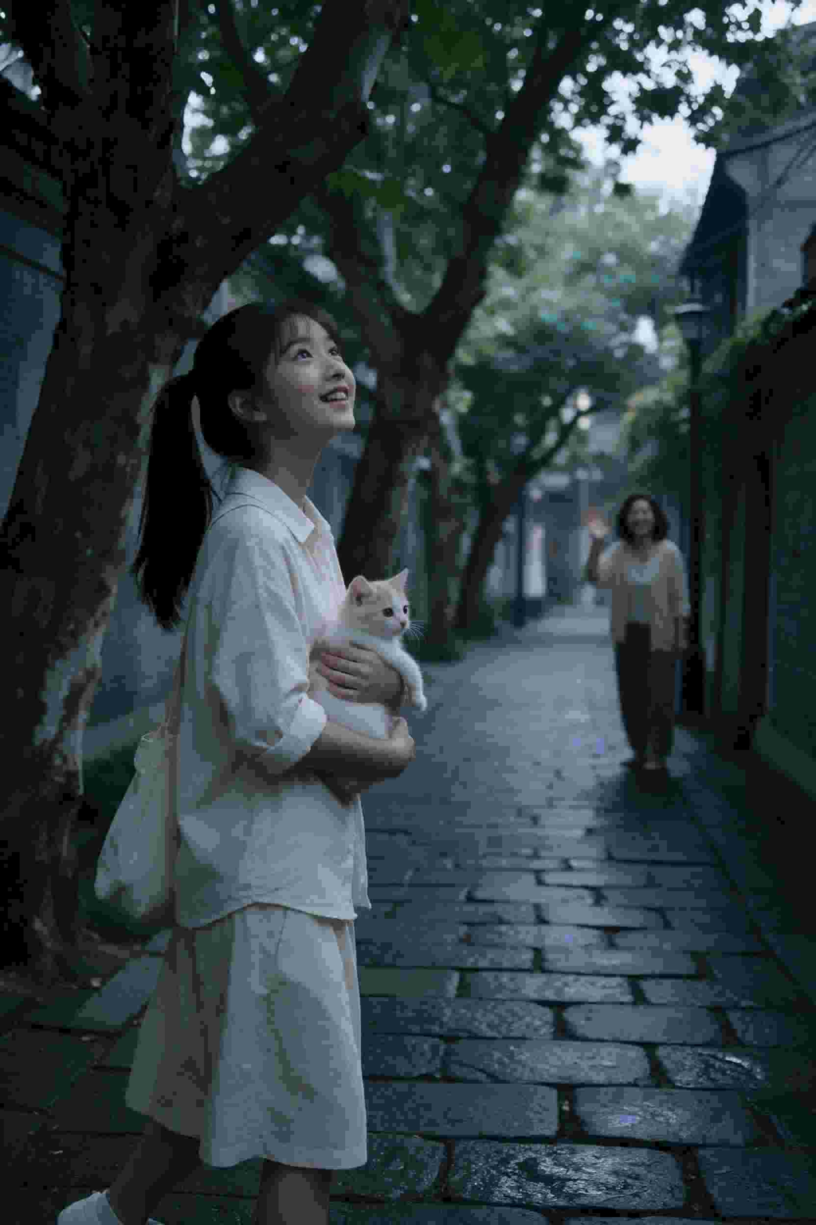 黄果免费短剧《赘婿的第二次人生》封面