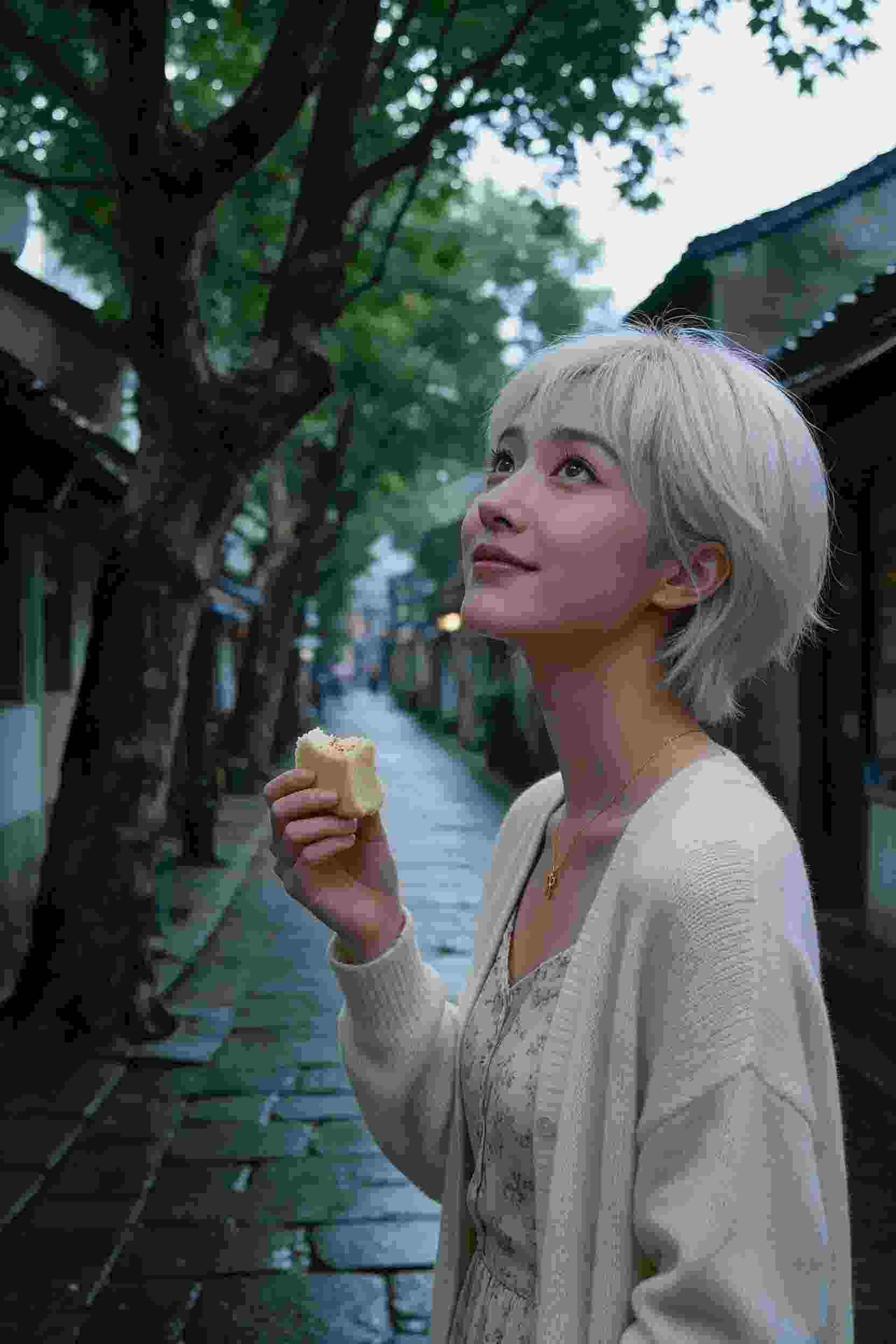 黄果免费短剧《暗巷迷踪》