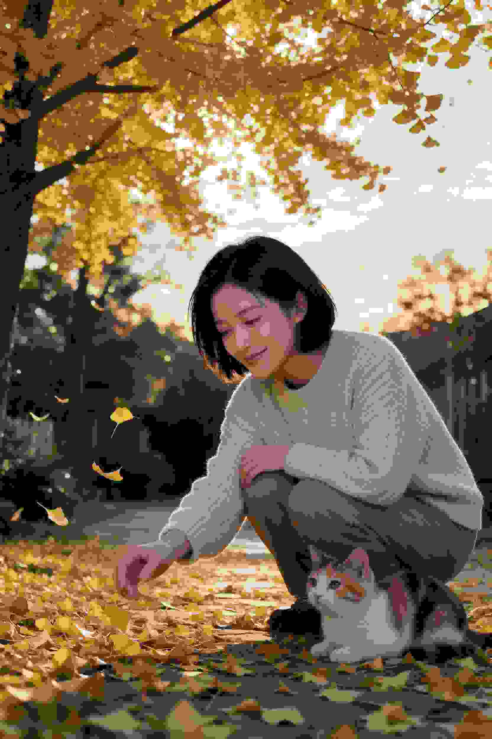 黄果免费短剧《归途有光》封面